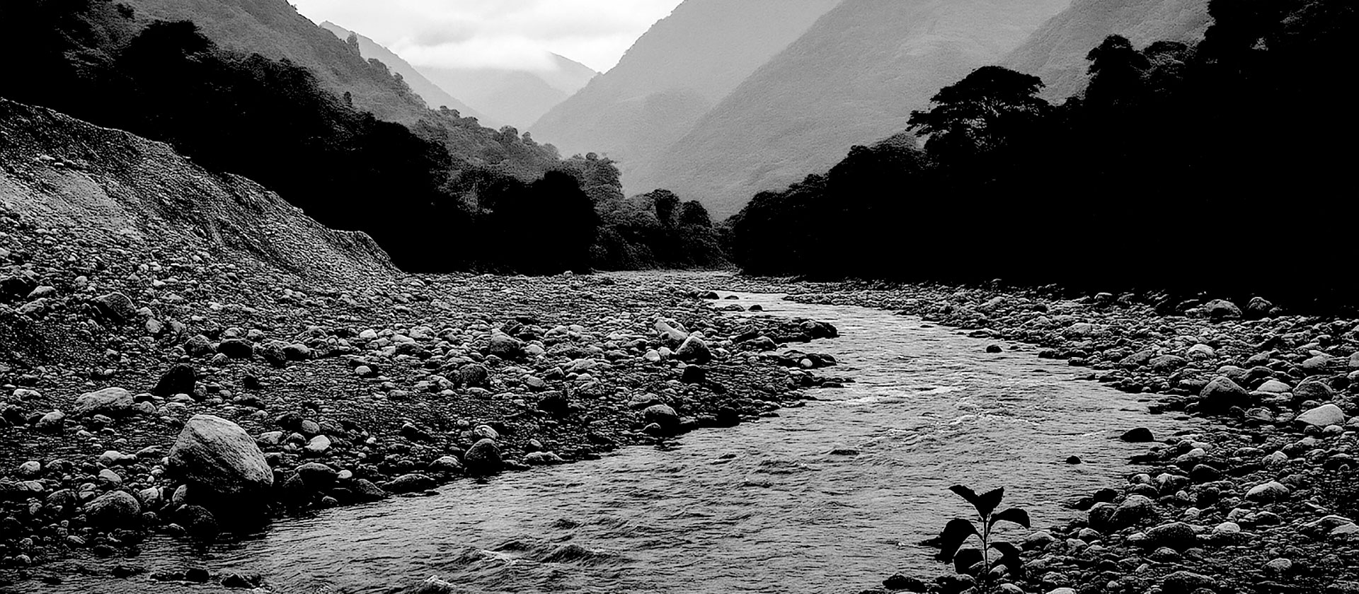Documentar la Violencia, Testimoniar la Resistencia