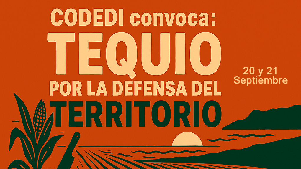 El Tequio como Resistencia: Territorio, Autonomía y Re-existencia en la Defensa de Salchi