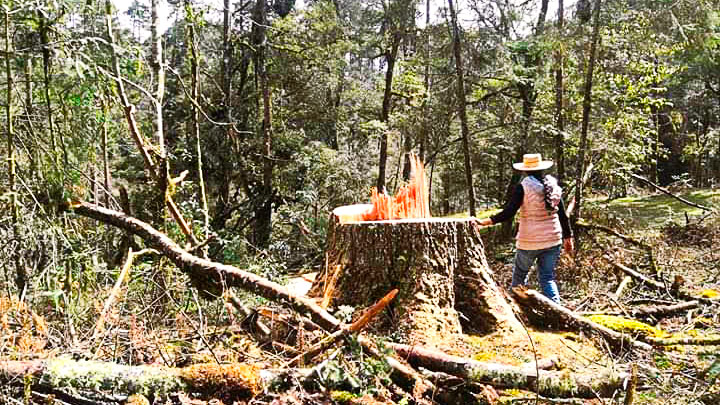 Defensora amenazada en Zacacuatla