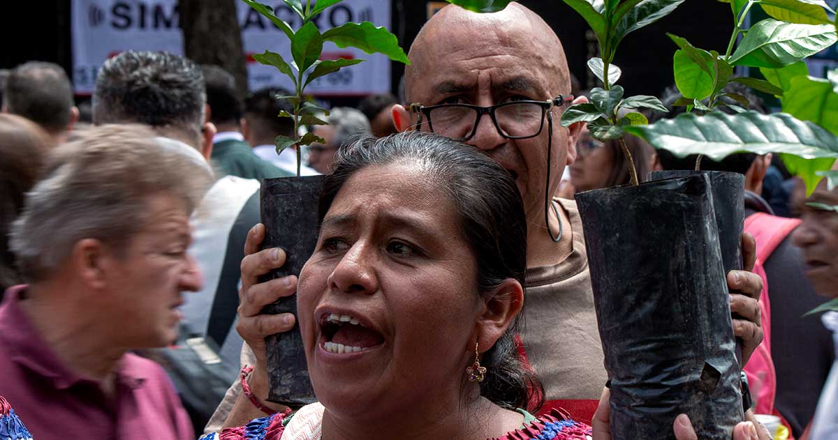Hasta que puedan volver: Mazatecas por la Libertad instala plantón indefinido frente a la Suprema Corte
